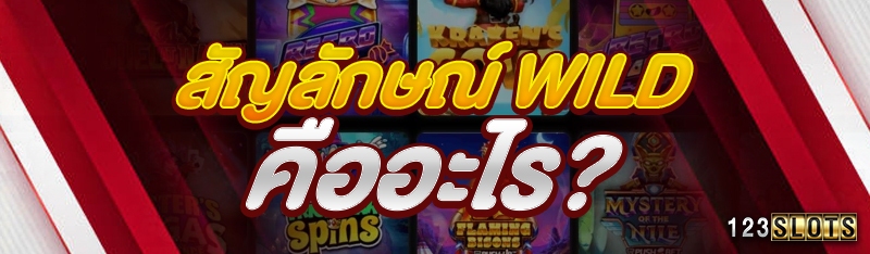สัญลักษณ์ Wild คืออะไร?